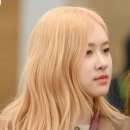 로제헤어 이미지