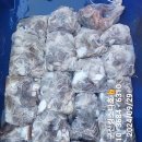 쭈꾸미스타 이미지