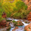 GALLERY(갤러리) 이미지