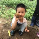 한서유치원 이미지