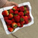 진희네 농장 이미지