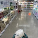 성모약국 | 3월 일상 메가팩토리약국, 러쉬 생일선물, 서울성모병원 안과 진료(포도막염 재발)