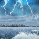 더리본 주식회사 이미지