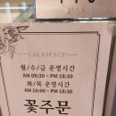 라라스페이스 이미지