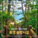 산책길 이미지