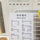 집현동_새나루 1단지 앞 이미지