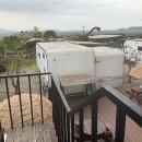 쥬라기카라반 이미지