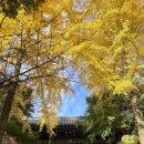 수덕사 야영장 이미지