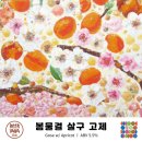 봄물결