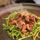 수원-0407 이미지