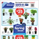 [ 하와이 생활상점 ] "Lowe's"(집수리/보수/인테리어) :: Spring Into Deals - 2024년 5월 2일 ~ 15일 이미지