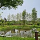 장미의거리9 이미지