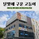 덕영대로 1499 | 달빛에 구운 고등어 수원망포점 화덕 생선구이 계절밥상 15첩 무한리필 셀프바 솔직후기