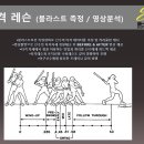 [군포, 안양, 수원, 안산] ## 쇼케이 스포츠 베이스볼 ## 200평규와 7M층고 / 한국최초 비선수출신 프로야구 선수배출 / 겨울 동계 장기 팀레슨 신청 가능합니다 이미지