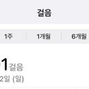 비앤지투어