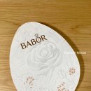 바버 앰플 20일 이상 써본 후기 효과 - 바버(BABOR) 앰플 내 피부에 고급진 선물