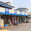 송전지 수원좌대