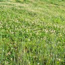 모둘자리 이미지