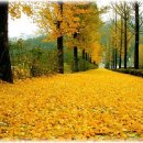 망성1농장 이미지