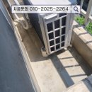 비둘기빌라
