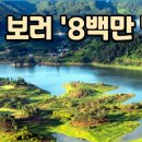 마리태양광발전소 이미지