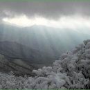 안성리-3 이미지