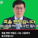 주연과조연 티스토리