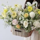 포유플라워