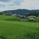 SD공인중개사사무소 이미지