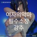 성보유통 | "결말보기 전에 모을 것" 세가 S-FIRE 레제 체인소맨 레제 피규어 예약