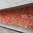 군산촌놈 이미지