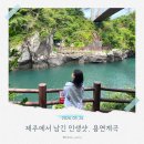 제주공항 근처 가볼만한곳｜용연계곡 용연구름다리 산책 후기