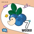 [7-12W 일상] 입덧지옥 극복기, 드디어 안정기라 가족들에게 임밍아웃 까쥐🎁