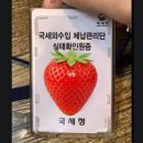외 | 국세외수입체납관리단 후기 #1