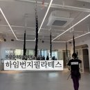 하임번지앤필라테스 | 부산 명지 에코델타 플라잉 번지 필라테스 2개월차 하임번지 후기