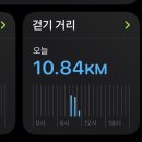 알지(RG)호텔 | 8월의 뉴욕(센트럴파크, 베이글, 피자)