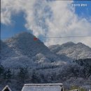 잔원유림 이미지