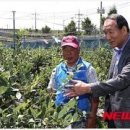 안성두원공업고등학교 이미지