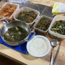부산군납 | 4월 마지막 주 일상 (코론여행 후 일상)