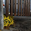 백수 농장 이미지