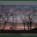 이봉창 의사 집터 이미지