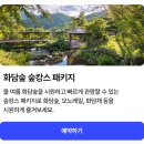 시그마타워 우측(병천순대) | [곤지암] 단풍의 계절에만 좋을 줄 알았던 8월 화담숲 방문 기록(대만족!!!)