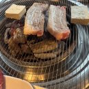 고기굽는풍경365