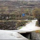 묘동회관 이미지