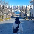 도시인 | 홋카이도 하코다테 날씨 겨울 여행 12월 1월 옷차림 후기