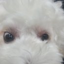 토닥토닥동물병원 이미지