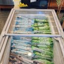 스시노백쉐프평택송탄점 이미지