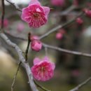 여미지식물원 이미지