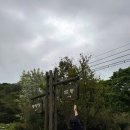 GS25 대전법동점 | 대전 계족산 등산 (주차장-법동소류지-봉황정) 계족산정상 후기