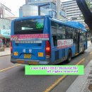 칠성시장네거리 농협 앞 이미지